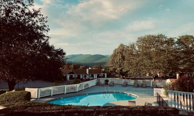 Dive into Style and Safety: Creative Pool Fence Ideas