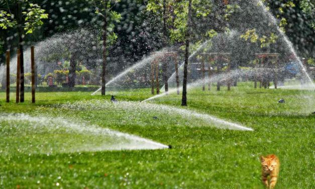 Mastering the Flow: A Comprehensive Guide to Setting Up a Reticulation System